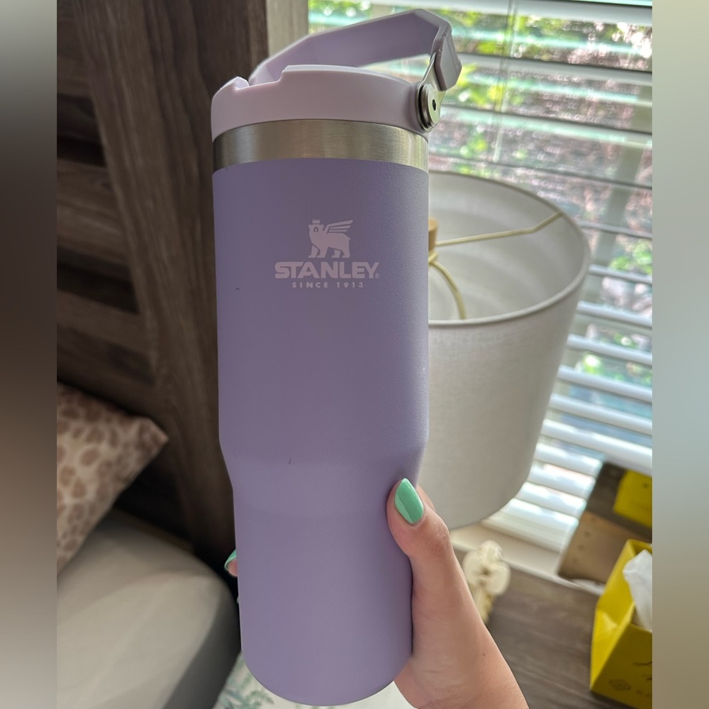 Stanley The IceFlow 30 oz Classic Flip Straw Tumbler